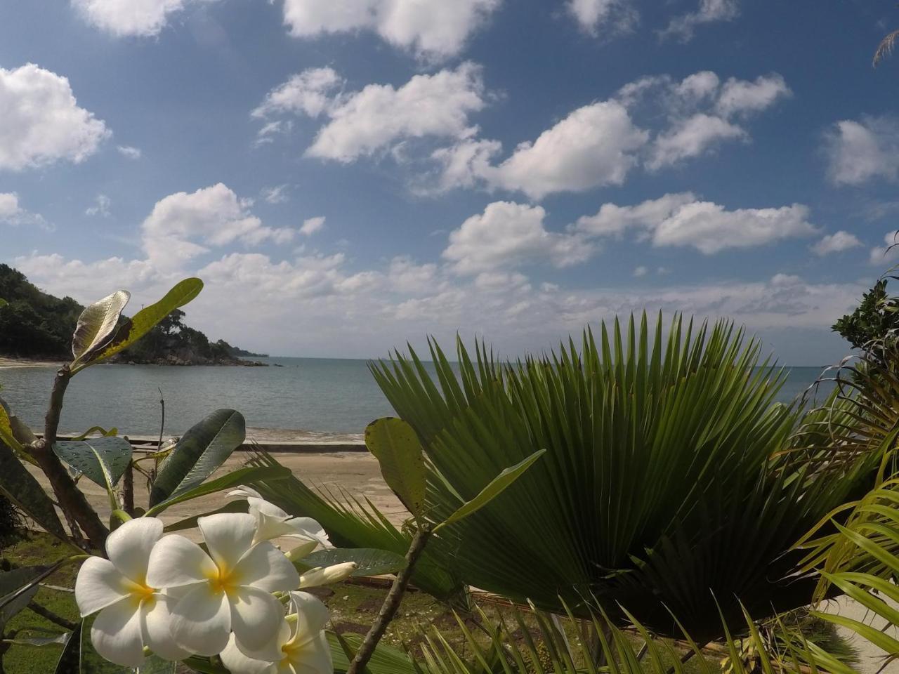 Dolphin Bay Beach Resort Ko Pha Ngan Zewnętrze zdjęcie